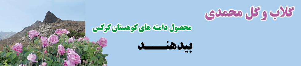 گل و گلاب بیدهند